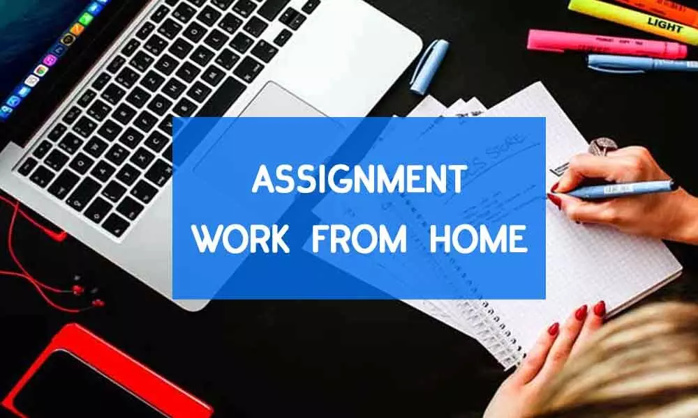 Assignment Work Available